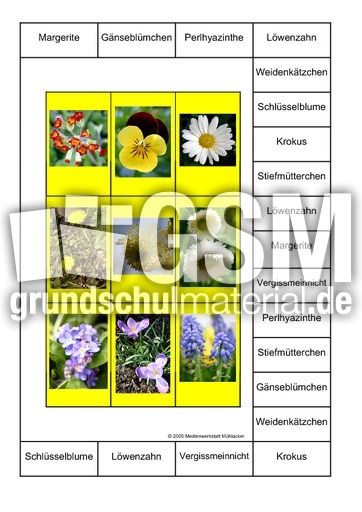 Bingo-Frühlingsblumen-2B.pdf